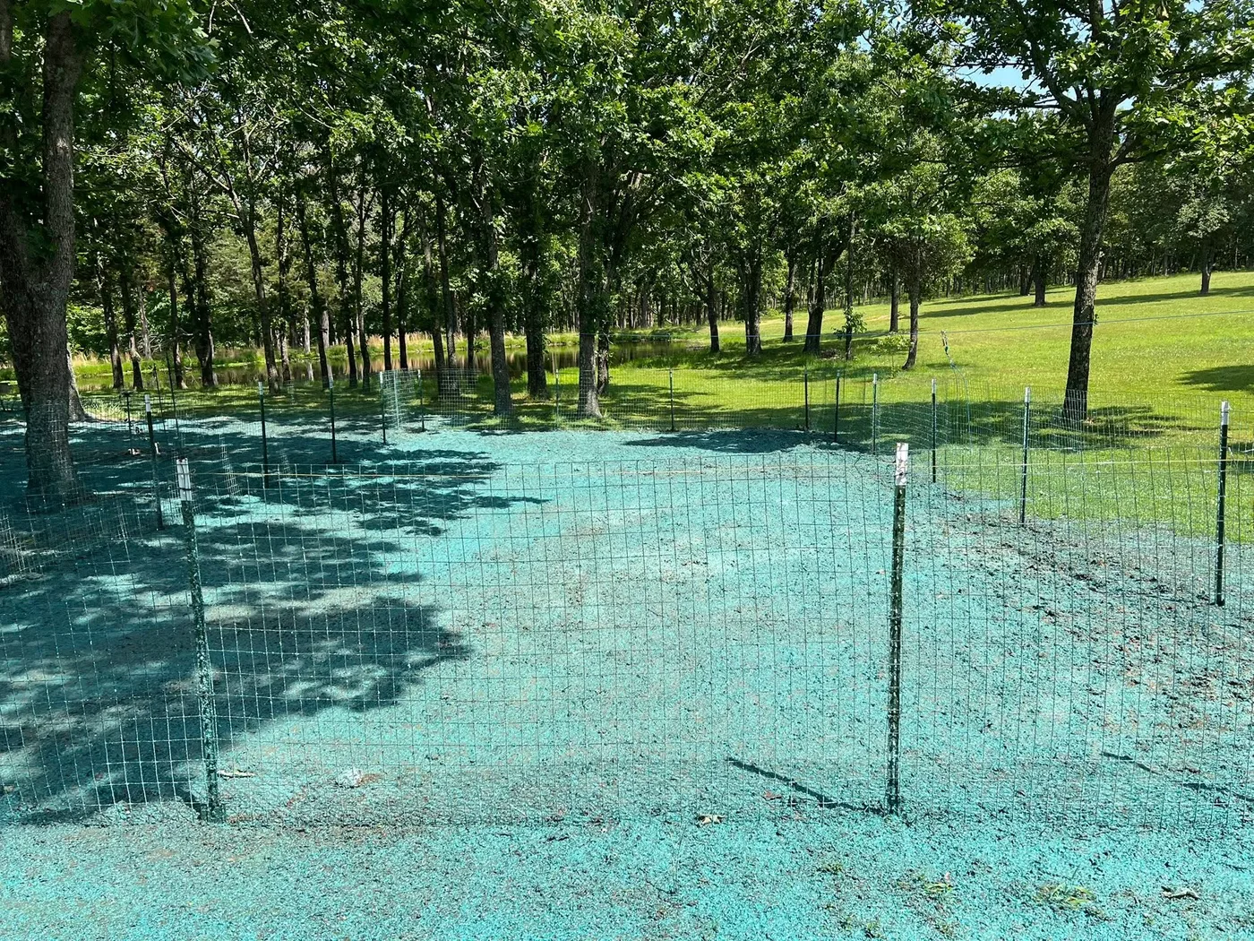 Hydroseeding project — view 3 before and after photos